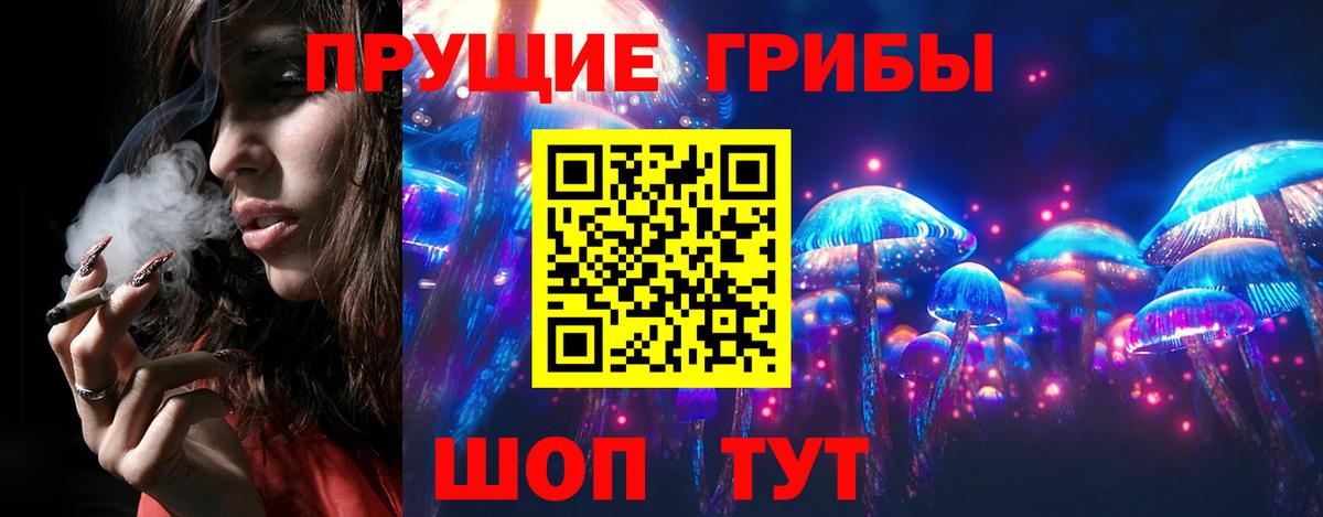 Вязники  Галлюциногенные грибы ЛСД  Псилоцибиновые грибы ЛСД  Вход с VPN 